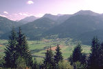 Paltental