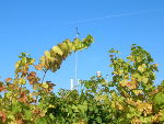 Bild9