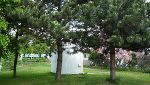 bild8