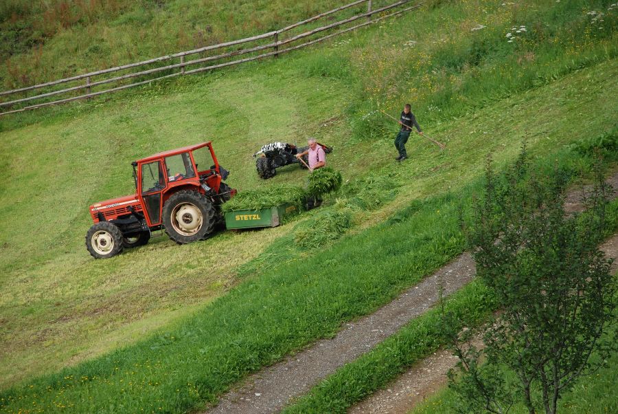 Fahren Auf Land Und Forstwirtschaftlichen Wegen Bußgeld Land- und forstwirtschaftliche Kennzahlen - Agrar-Server Land Steiermark