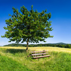 Natur und Landschaft © Fotolia