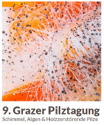 9. Pilztagung © Land Steiermark 9. Pilztagung