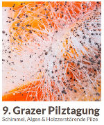 9. Pilztagung © Land Steiermark